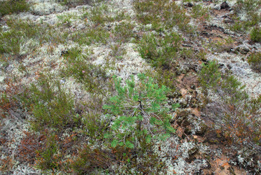 Similar image 21563464