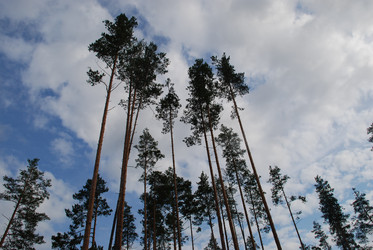 Similar image 21563465