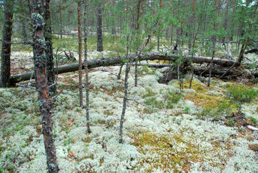 Similar image 21563466