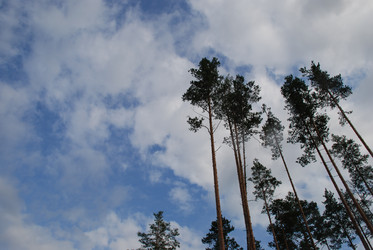 Similar image 21563467