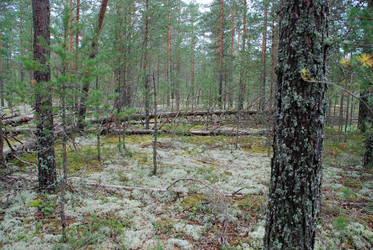 Similar image 21563468