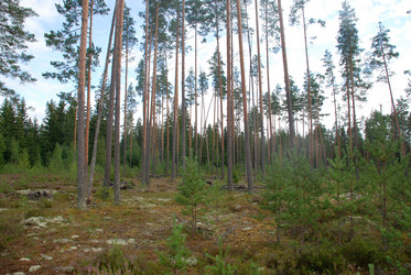 Similar image 21563469