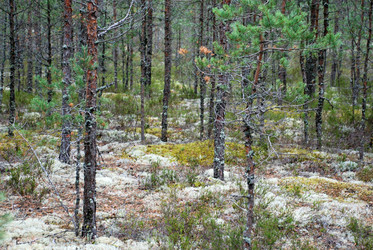 Similar image 21563470