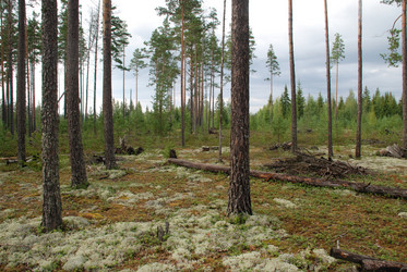 Similar image 21563471