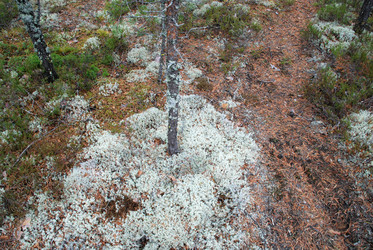 Similar image 21563472