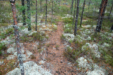 Similar image 21563474