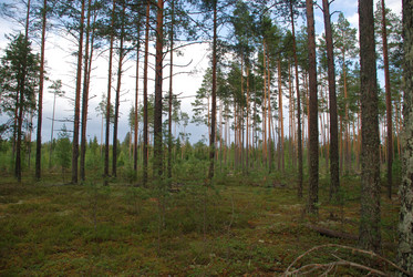 Similar image 21563475