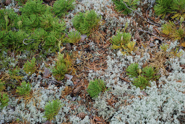 Similar image 21563476