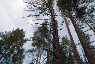 Similar image 21563477