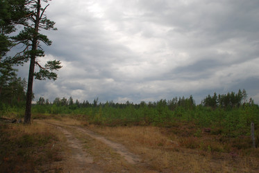 Similar image 21561165