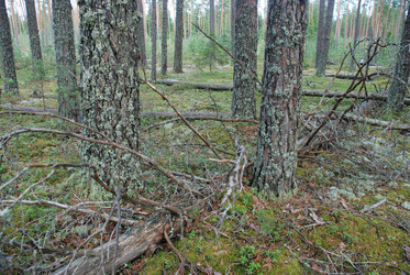 Similar image 21563478