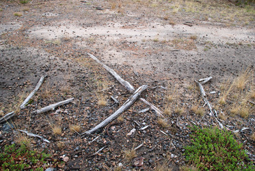 Similar image 21563481