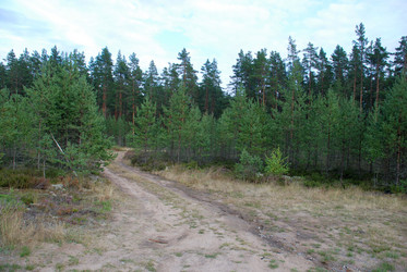 Similar image 21563482