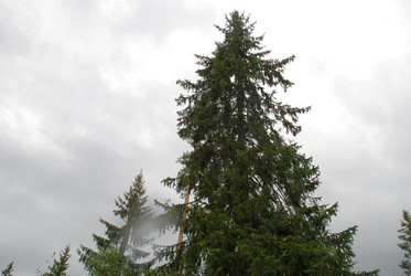 Similar image 21563484