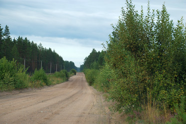 Similar image 21563485