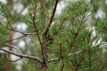 Similar image 21563488