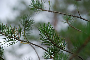 Similar image 21563489