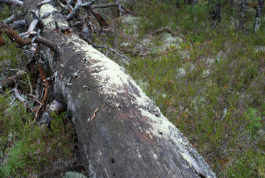 Similar image 21563490