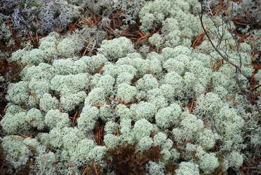 Similar image 21563491