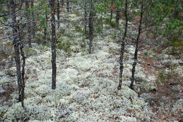 Similar image 21563492