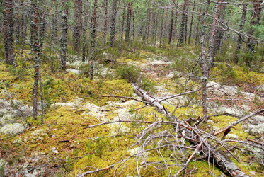 Similar image 21563493