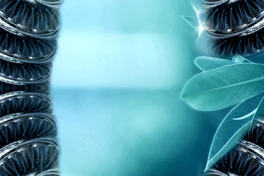 Similar image 21557689