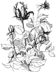 Similar image 21559037