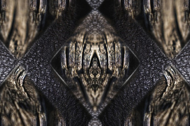 Similar image 21560248