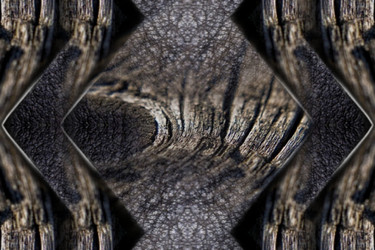 Similar image 21563310