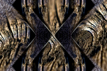 Similar image 21563311