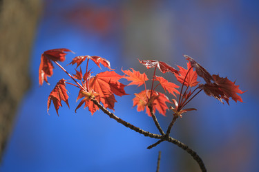 Similar image 21560776