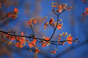 Similar image 21560777