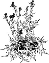 Similar image 21559039