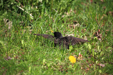 Similar image 21563162