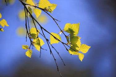 Similar image 21560778