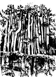 Similar image 21559040