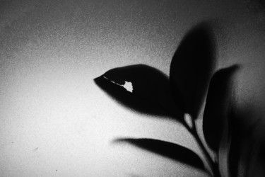 Similar image 21563163