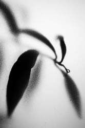 Similar image 21563165