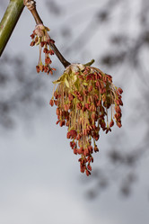 Similar image 21557718