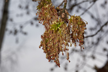 Similar image 21557720