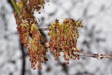 Similar image 21557721