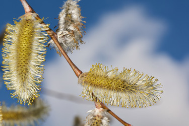 Similar image 21557724