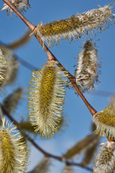 Similar image 21557725