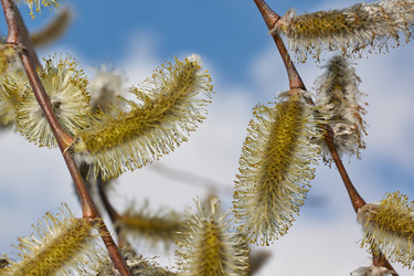 Similar image 21557728