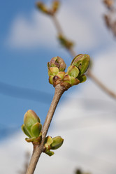 Similar image 21557731