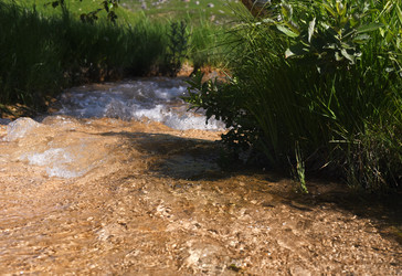 Similar image 21558484