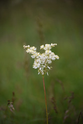 Similar image 21558486