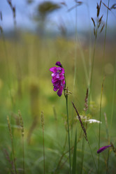 Similar image 21558487