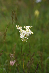 Similar image 21558488