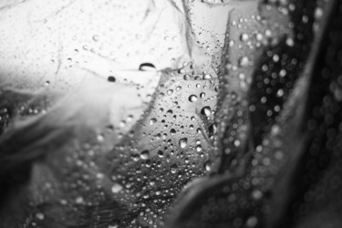 Similar image 21563166